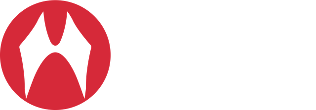 Zwheel