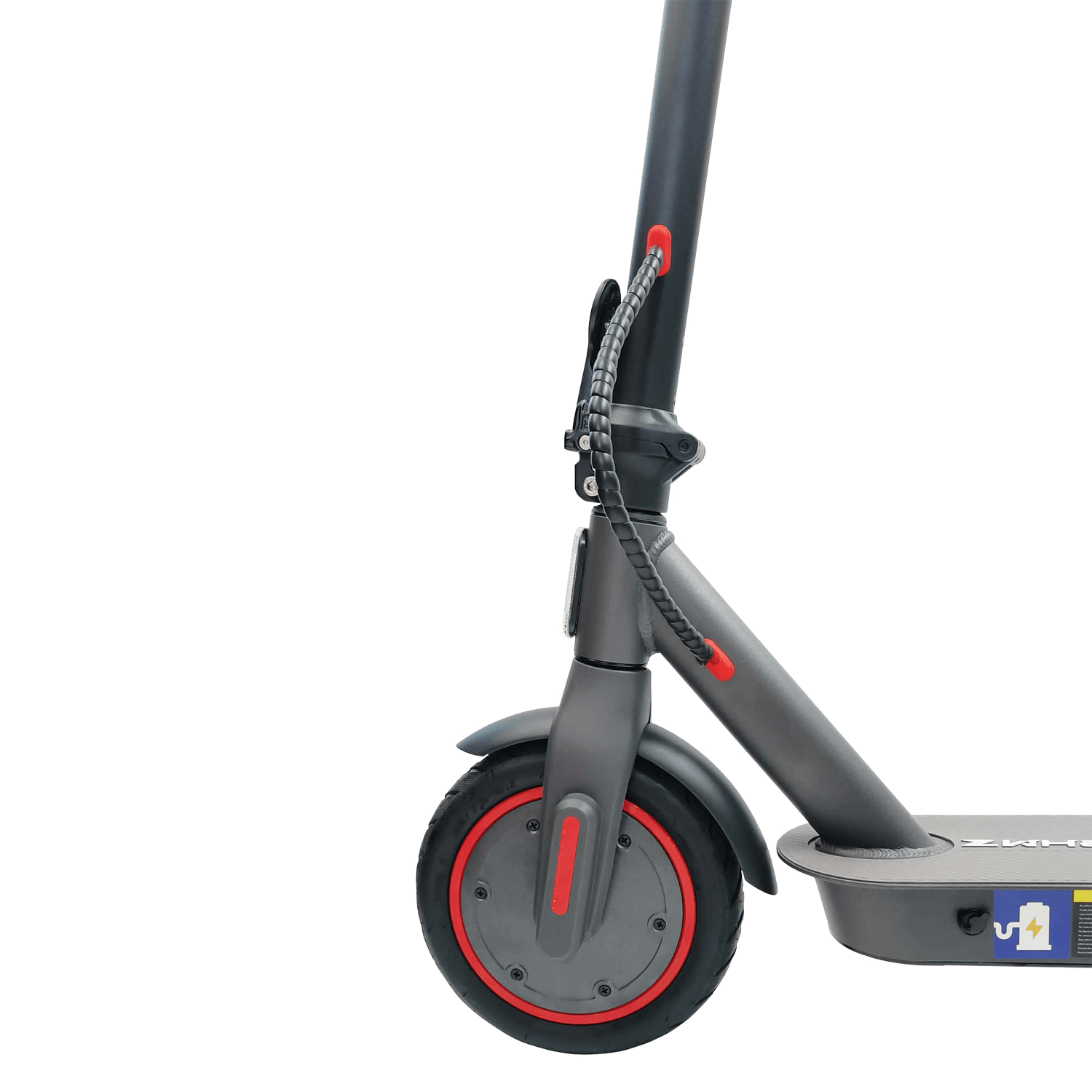 ZFox---Certificado-(3)