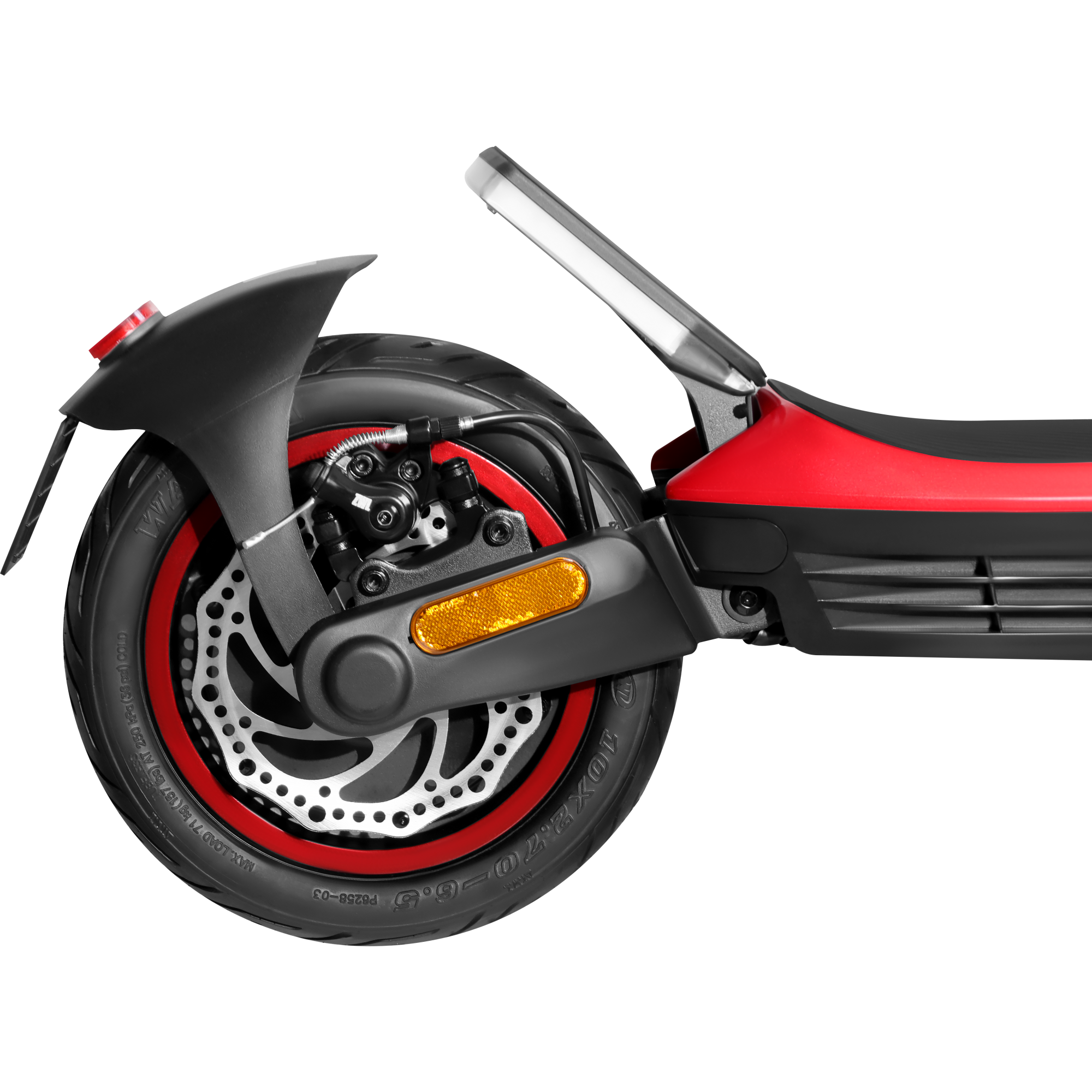 ZLION PRO Corallium 12 2000x2000